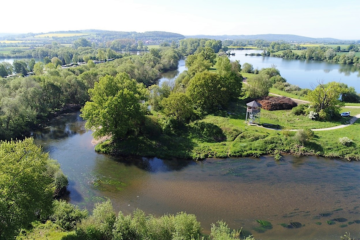 Luftbild Natur Mainauen